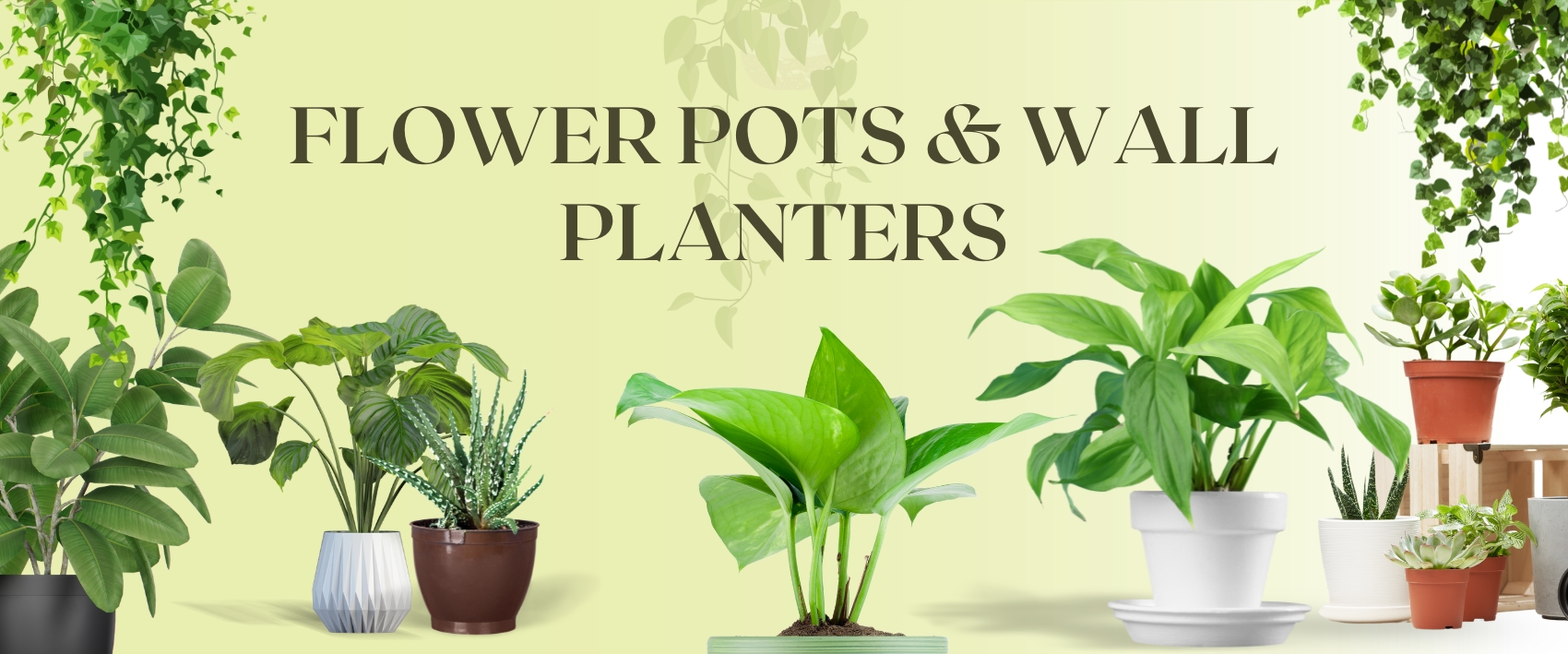 Banner Image-best business providers